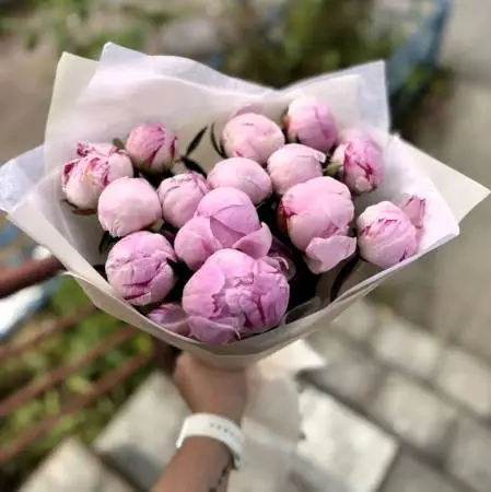 Букет из 15 розовых пионов